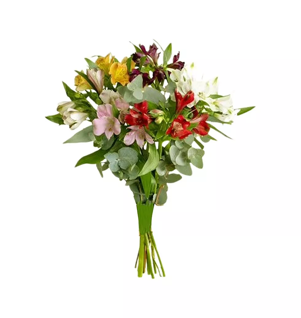 Cheerful Alstroemeria Delight