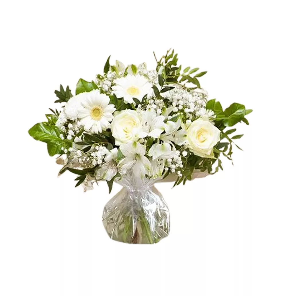 Elegant White Rose & Germini