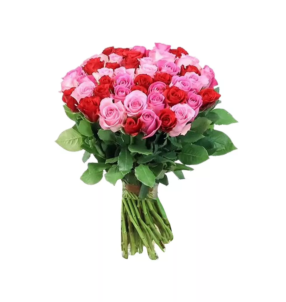 Lovely Duo: Pink & Red Rose Bunch