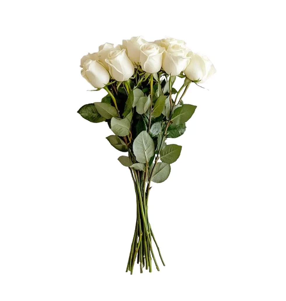 Classic Long-Stemmed 12 White Roses