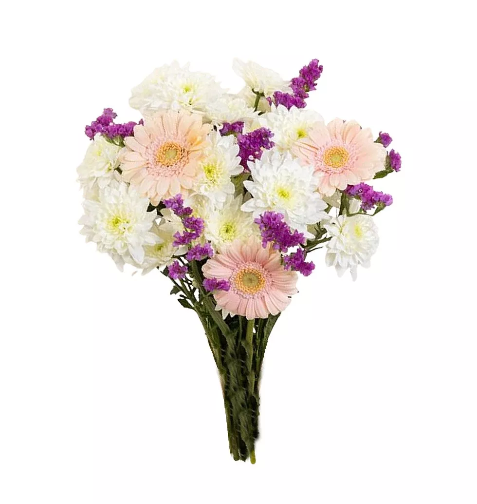 Chrysanthemum & Germini Elegance Bouquet