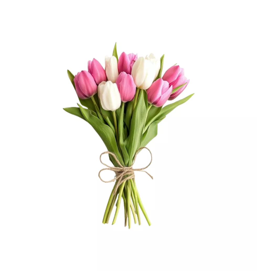 Graceful Pink Tulips