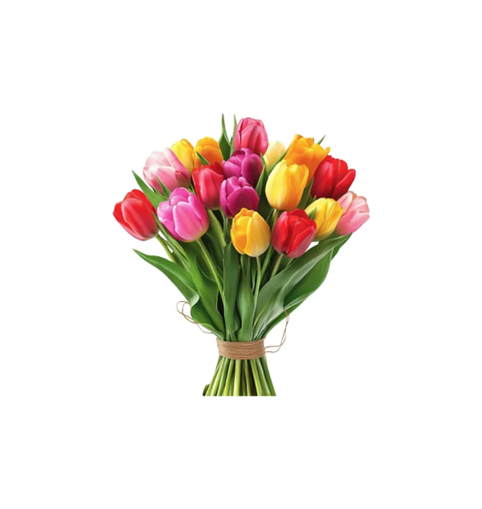 Colorful Tulip Symphony Bouquet