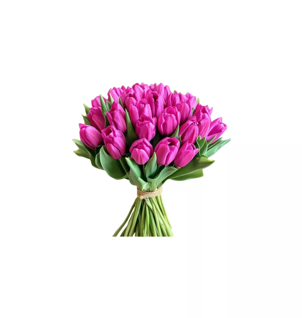 Elegant Tulips: Purple and White Mix