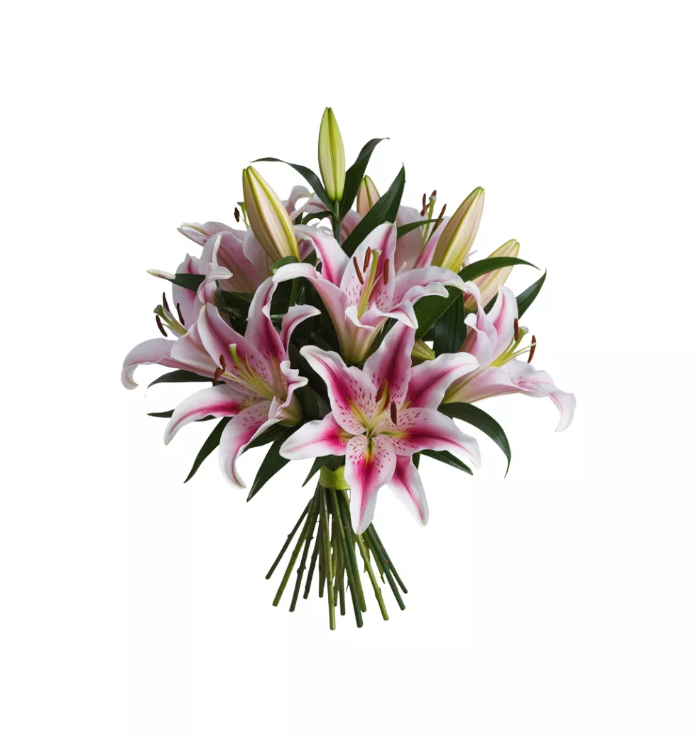 Royal Pink Essence Bouquet