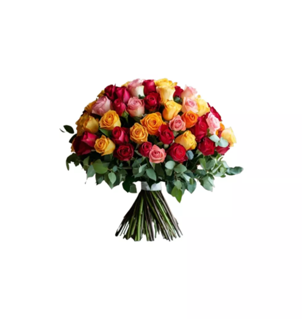 Multicolor 50 Rose Bouquet